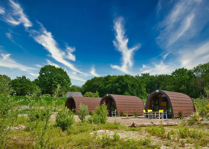 Campland * آرسين